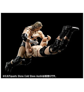 Triple H - WWE SH Figuarts Bandai Toy Wrestling Action Figure