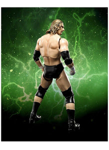 Triple H - WWE SH Figuarts Bandai Toy Wrestling Action Figure