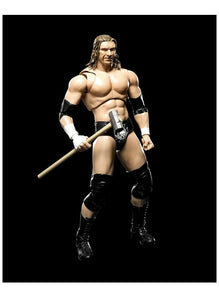 Triple H - WWE SH Figuarts Bandai Toy Wrestling Action Figure