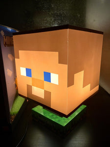 Paladone Minecraft Steve Icon Lamp (w/ Night Light Setting, 3 Brightness Levels)