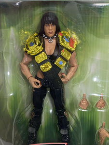 2020 WWE Elite Collection 2-Pack: CHYNA & TRIPLE H (D-Generation X)